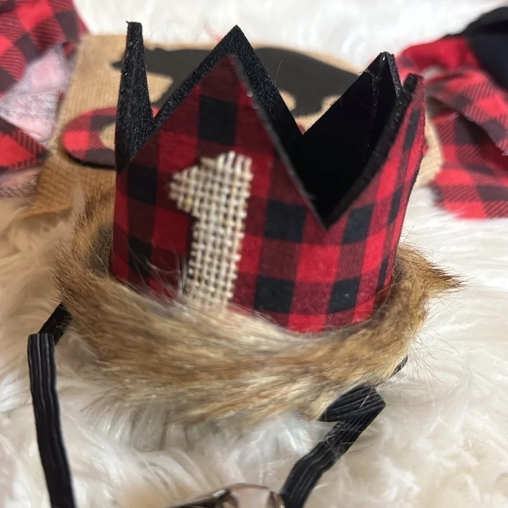Boy’s First Birthday outfit, crown and bunting Woodland / Lumberjack theme